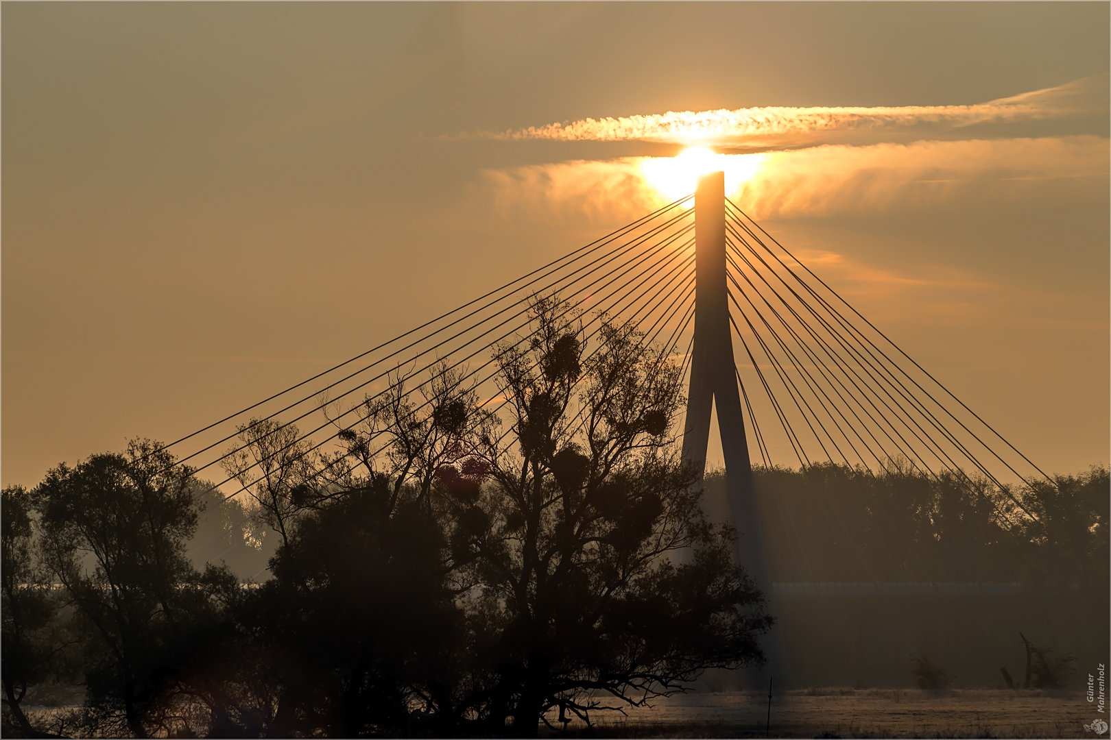 Morgen an der Elbauenbrücke