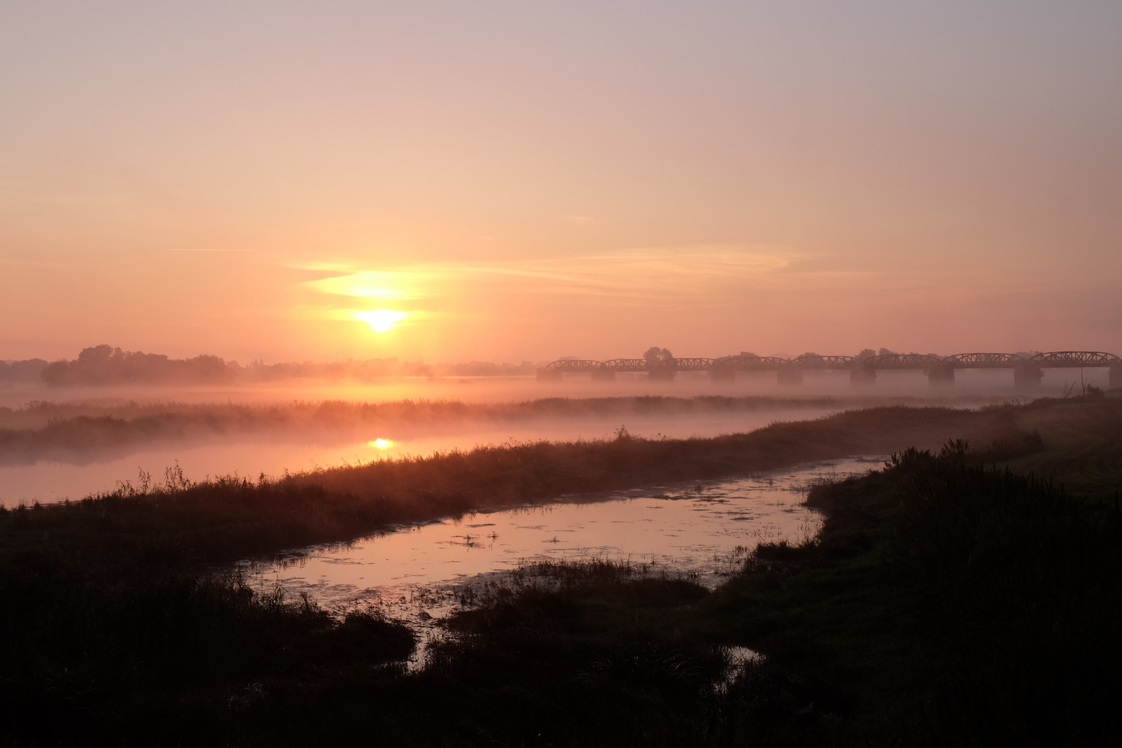 Morgen an der Elbe bei Dömitz