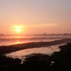 Morgen an der Elbe bei Dömitz