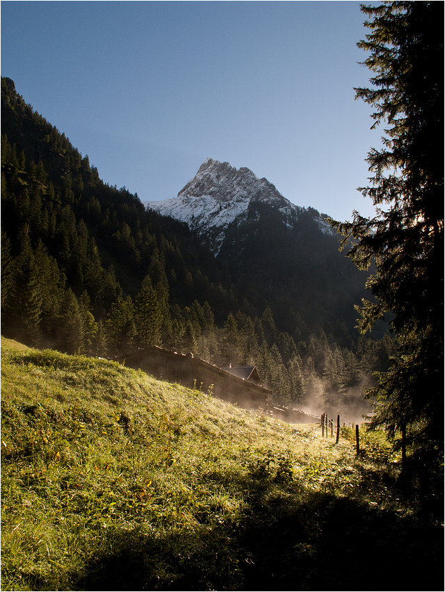 Morgen an der Gerstrubener Alpe