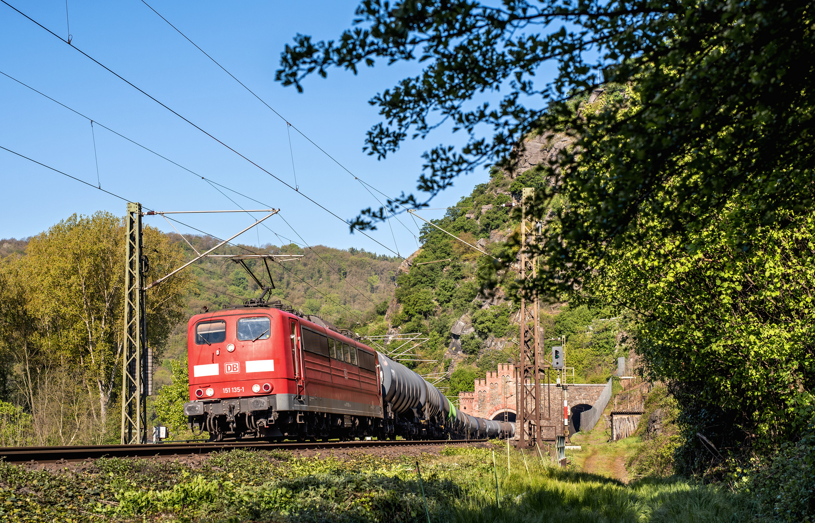 Morgen an der Loreley