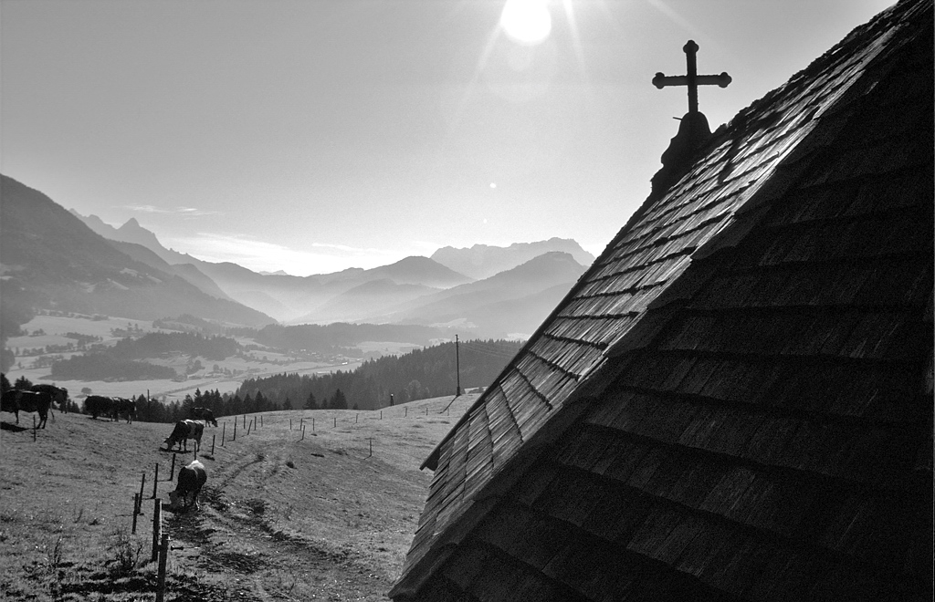 Morgen auf der Alm