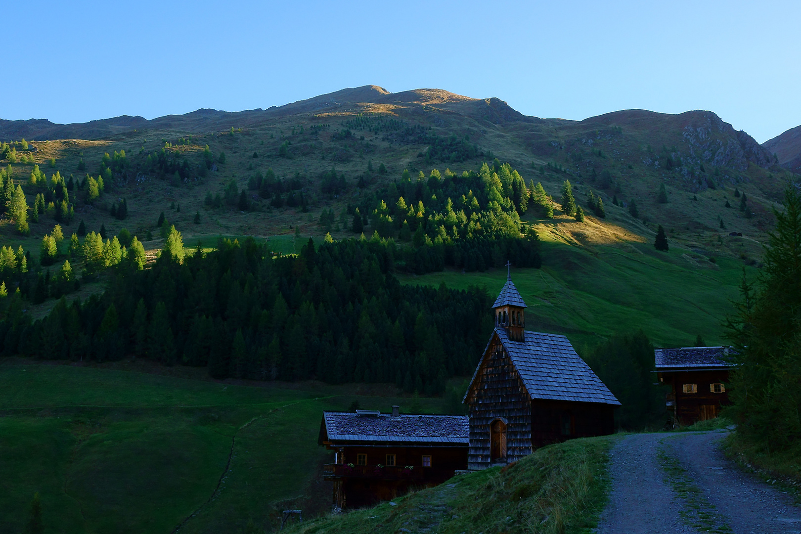 Morgen auf der Kamelisenalm 