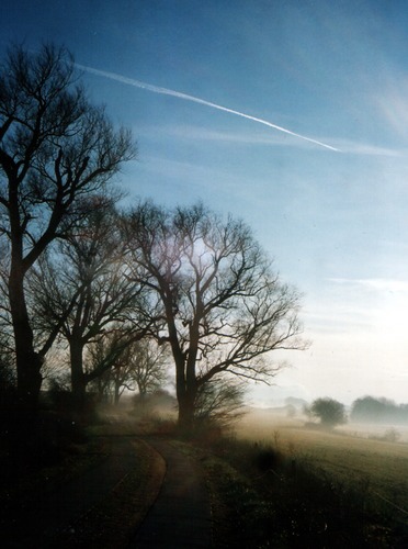 Morgen auf einem Wanderweg