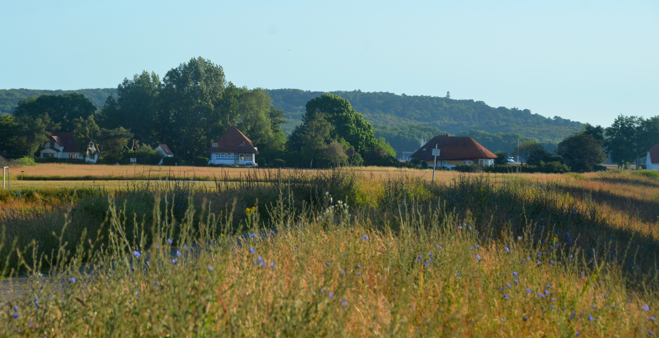 Morgen  auf Hiddensee 