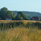 Morgen  auf Hiddensee 