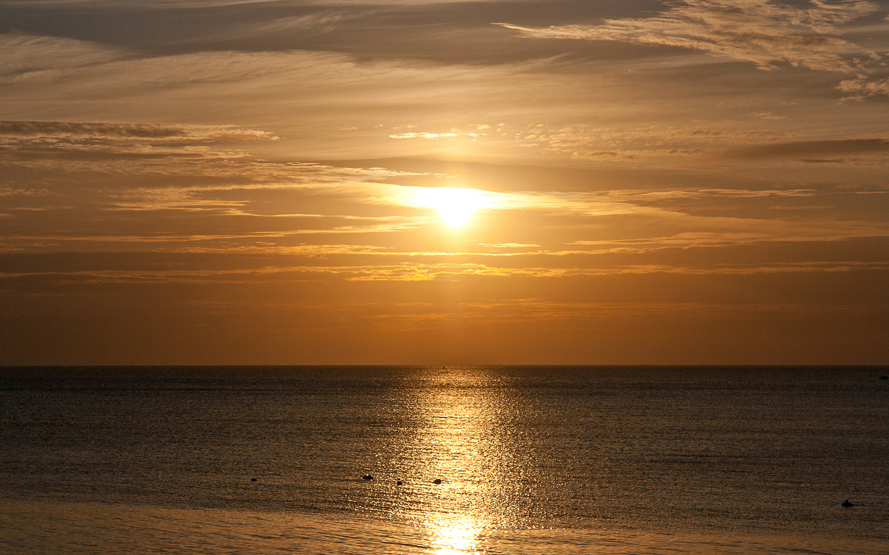 Morgen auf Rügen