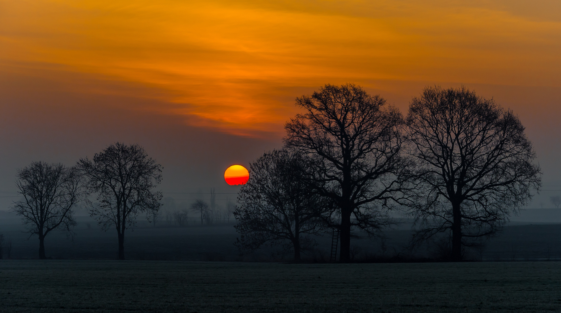 Morgen-Ausflug ...