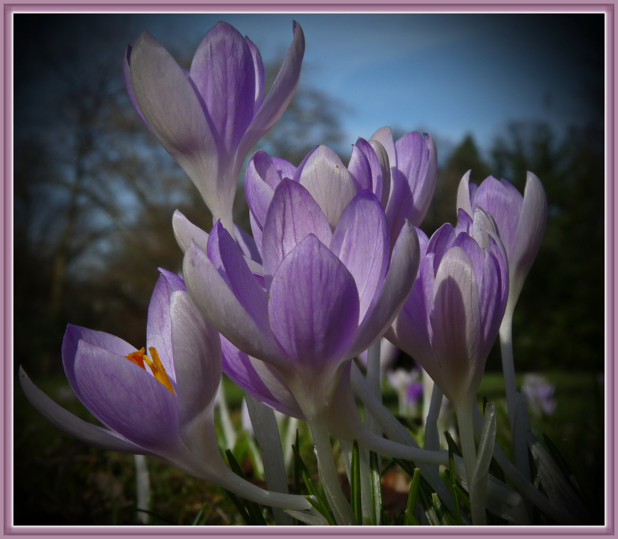 morgen beginnt der meteorologische Frühling