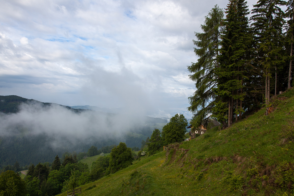 Morgen bei der Hütte