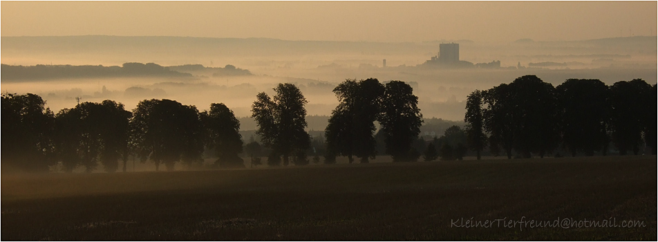 Morgen des 14.Juli 2007