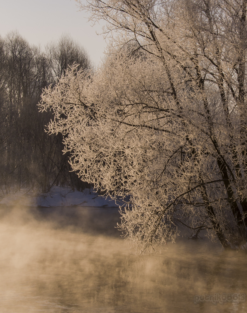 Morgen. Frost.