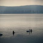 Morgen früh am Bodensee