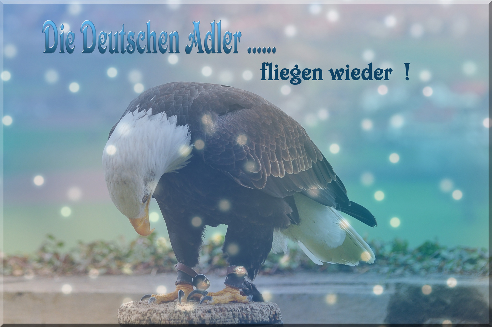 Morgen geht es los .....