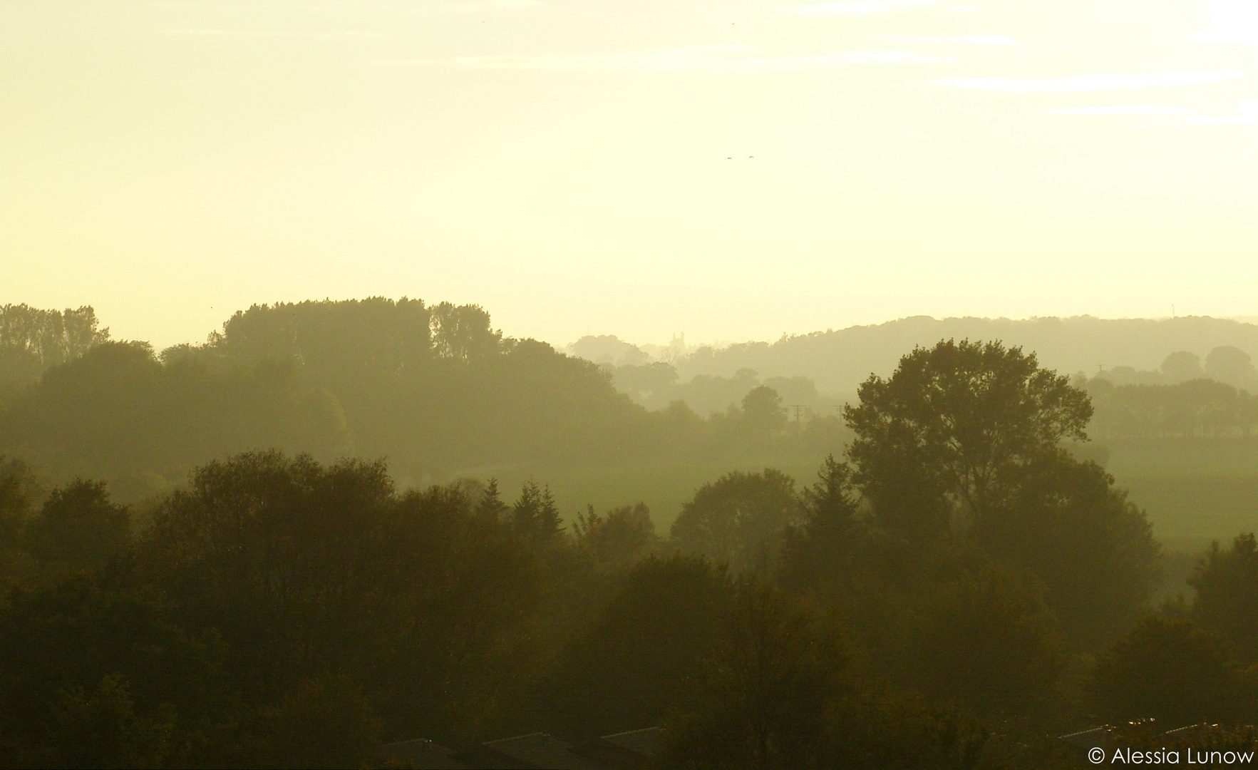 Morgen-Idylle