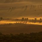 Morgen im Böhmischen Mittelgebirge