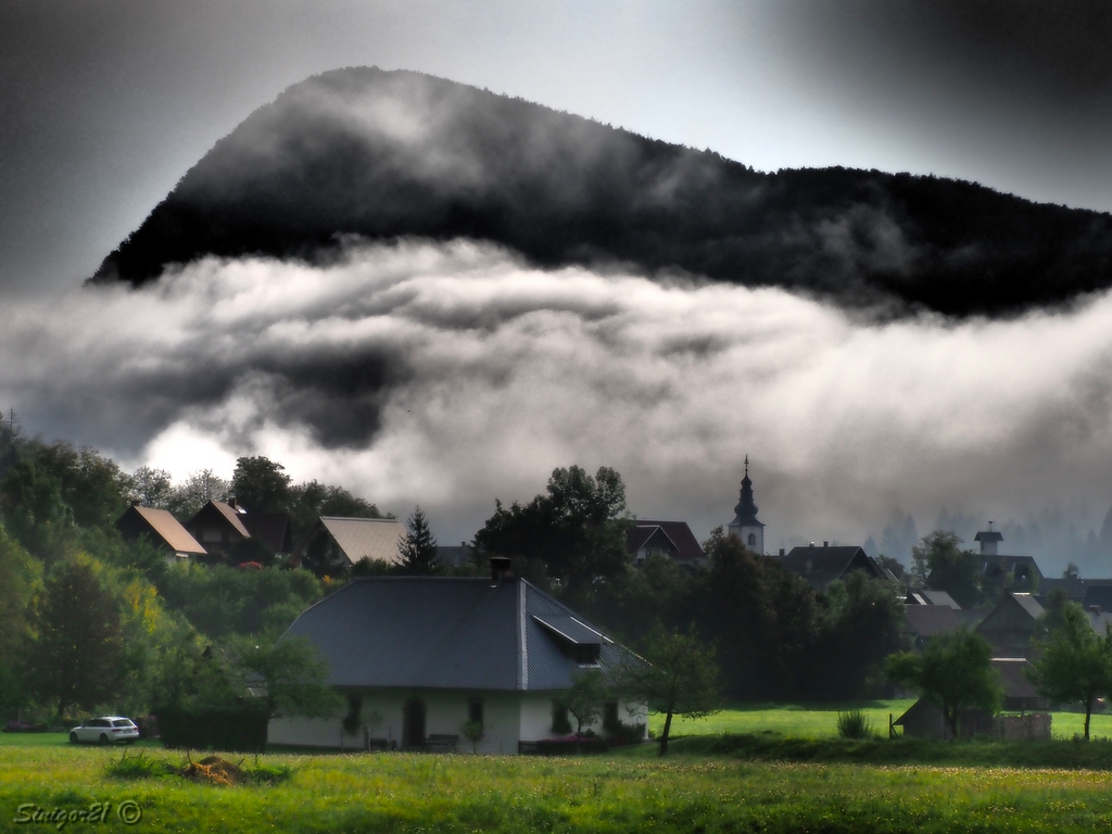 Morgen im Bohinj Tal