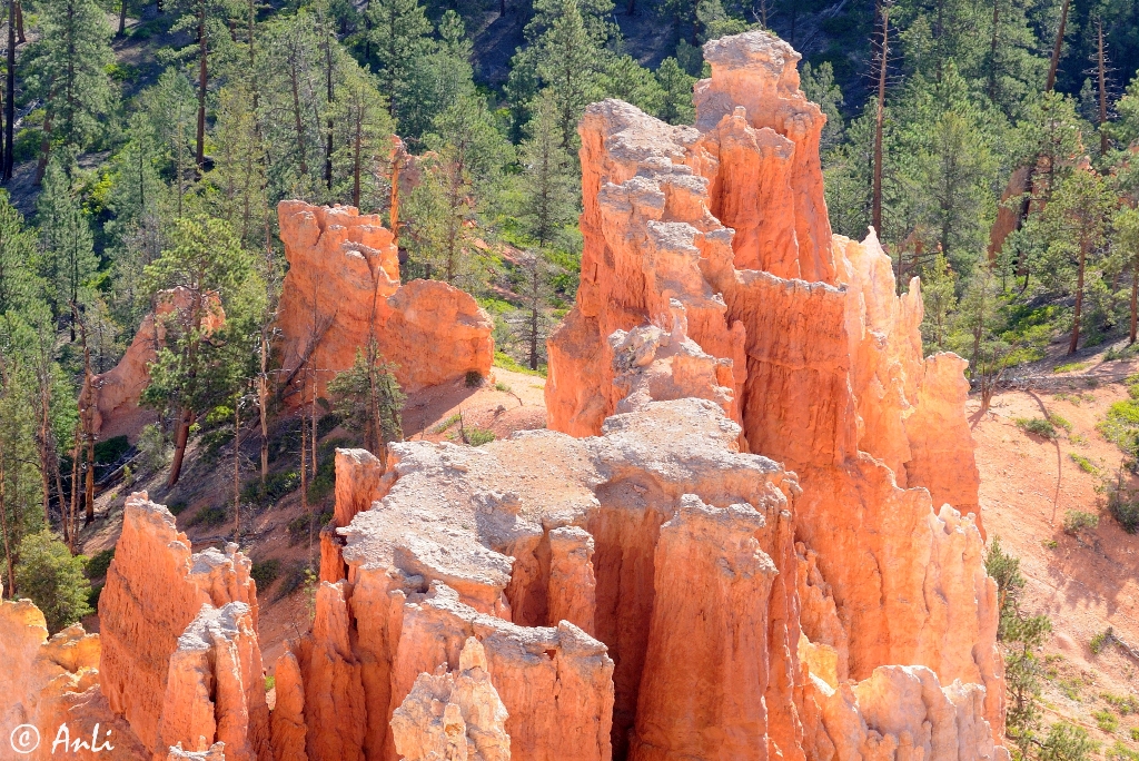 Morgen im Bryce Canyon