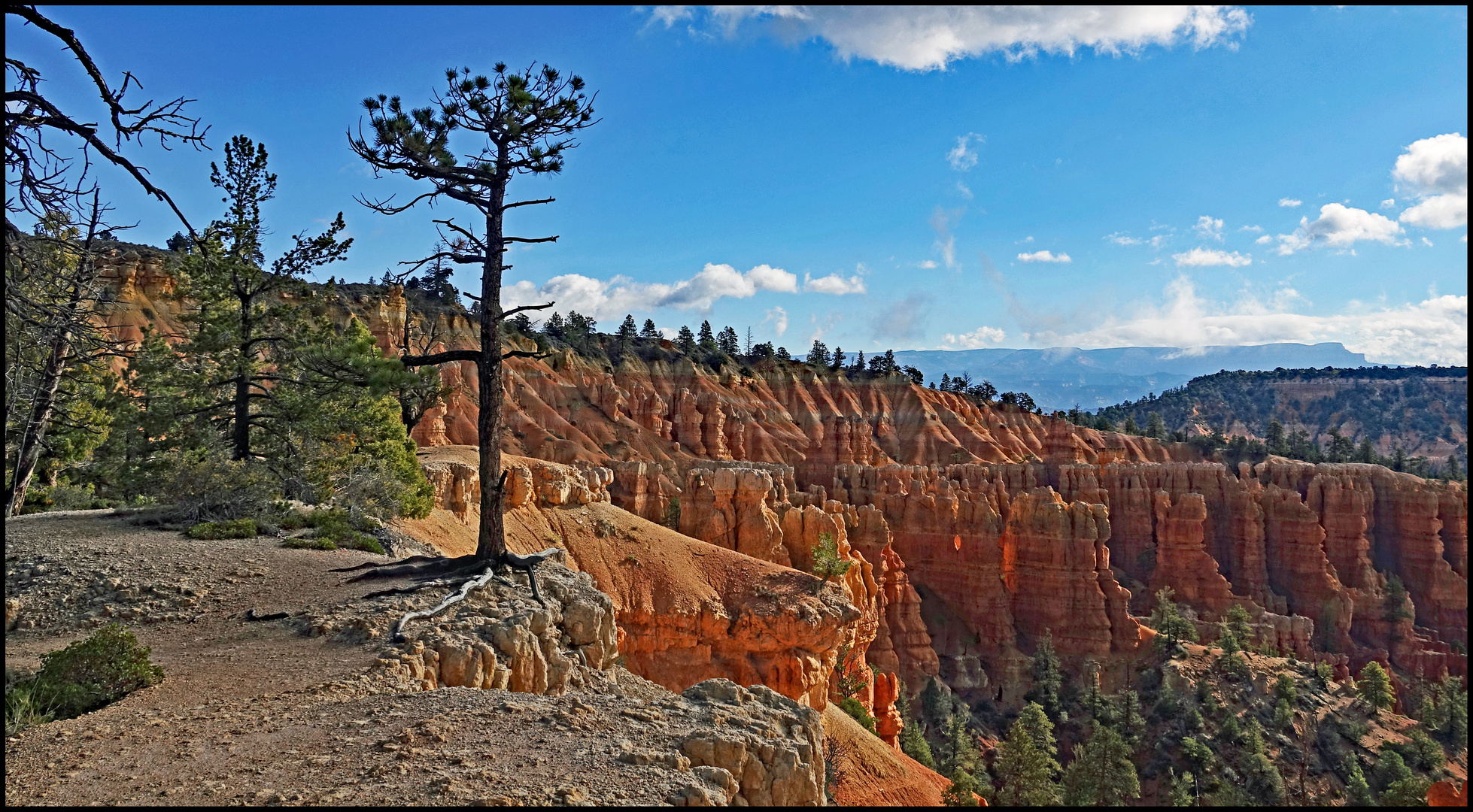 Morgen im Bryce Canyon Nationalpark