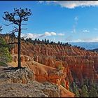 Morgen im Bryce Canyon Nationalpark