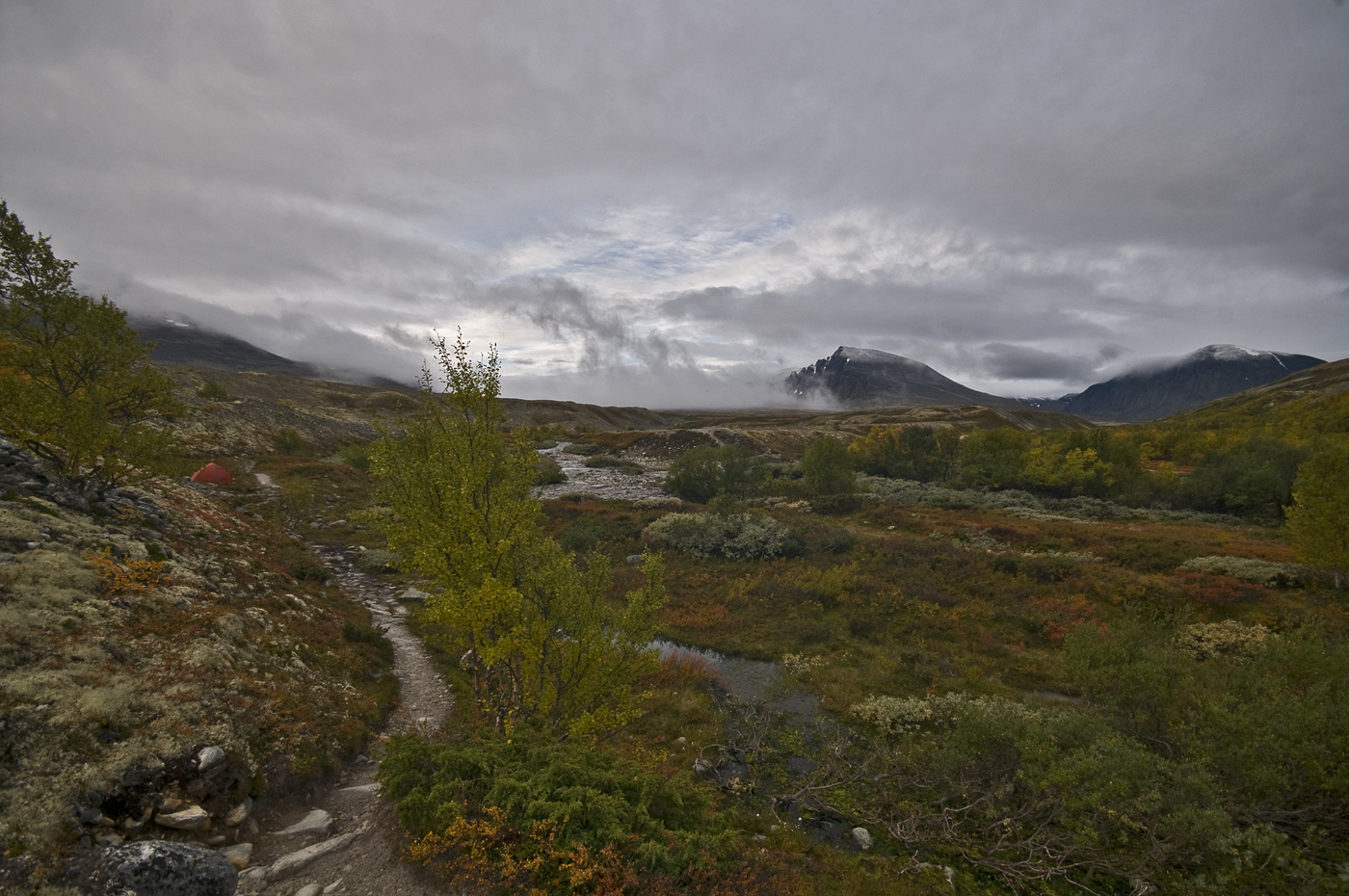 Morgen im Dørålen