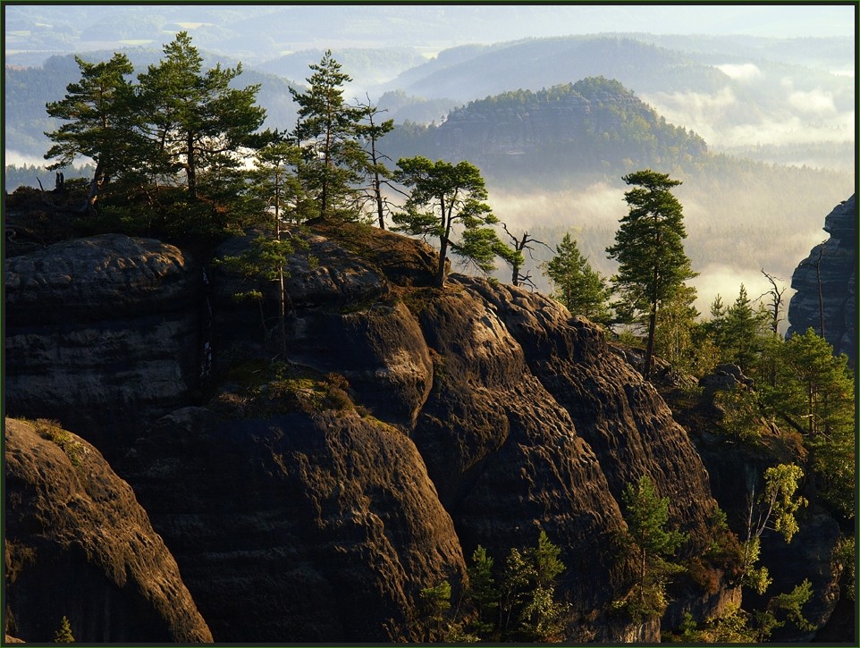 Morgen im Kleinen Zschand (Sächsische Schweiz)