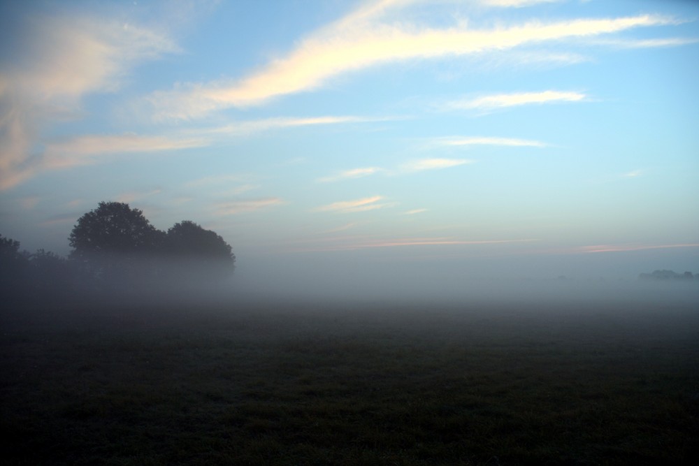 Morgen im Nebel