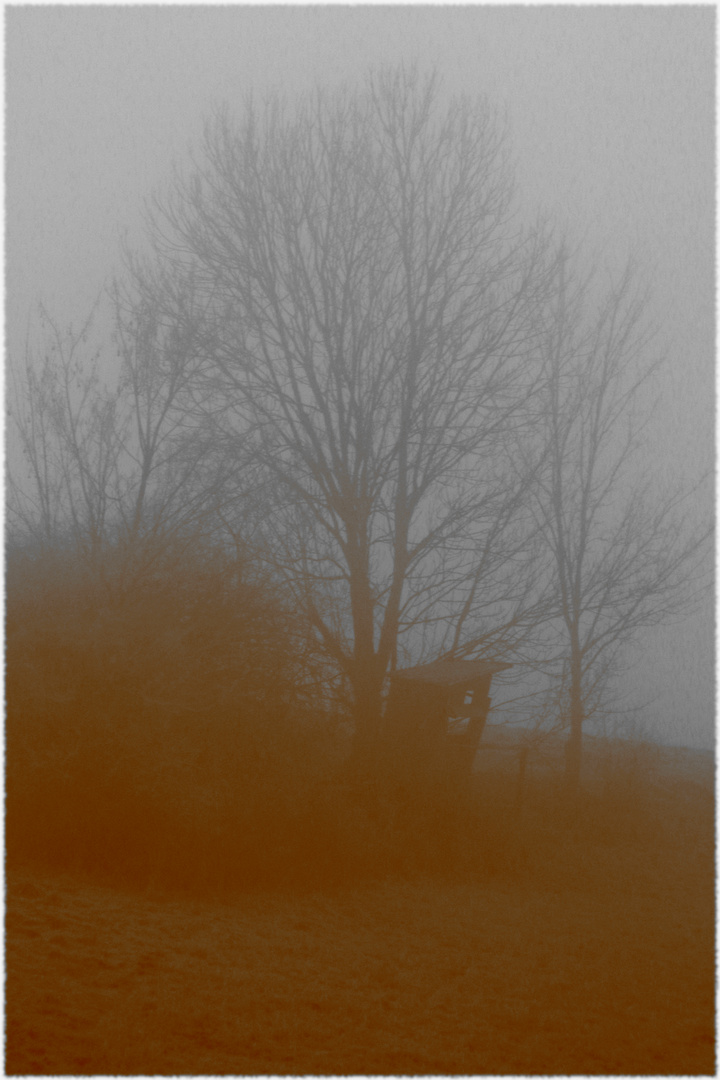 Morgen im Nebel I