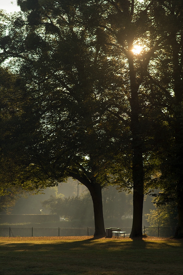 Morgen im Schlosspark