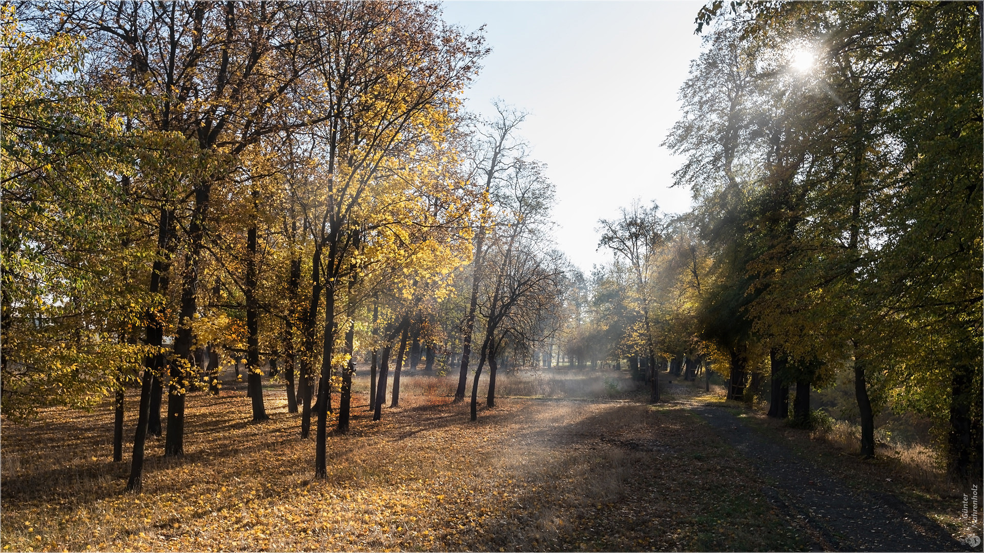 Morgen im Schlosspark von Pretzsch