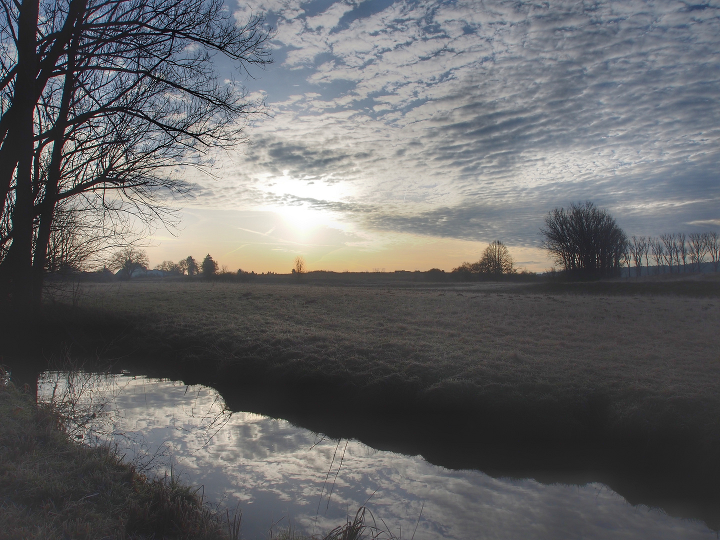 Morgen im Wiesengrund