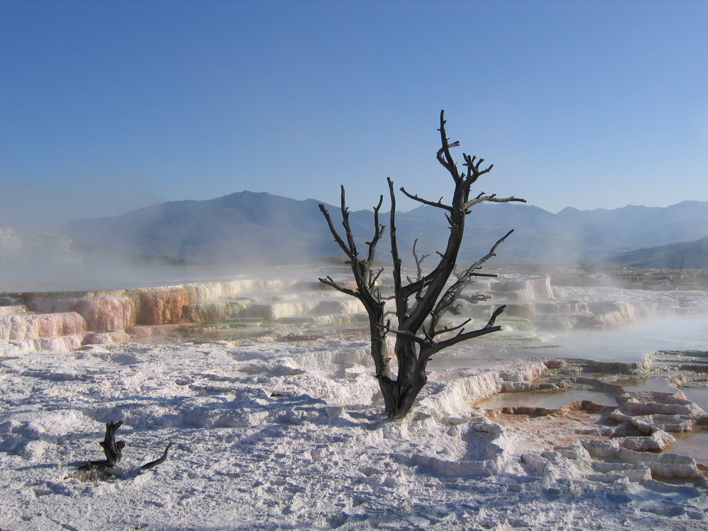 Morgen im Yellowstone NP