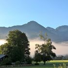 Morgen in den Alpen