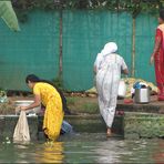 Morgen in den Backwaters