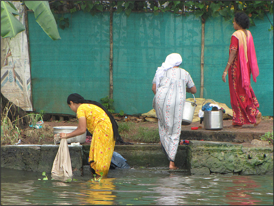 Morgen in den Backwaters