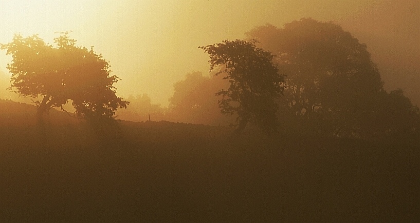 Morgen in den Yorkshire Dales