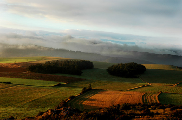 Morgen in der Causse Méjean