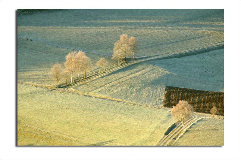 Morgen in der Rhön