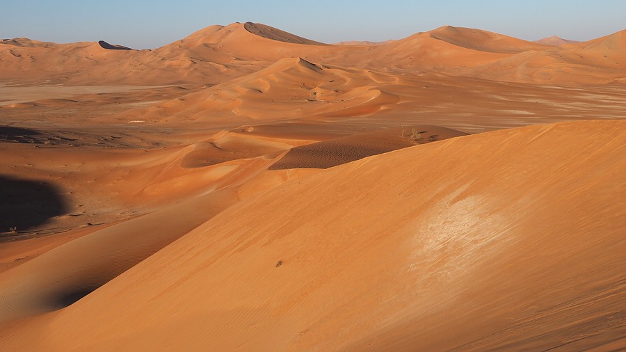 Morgen in der Rub al Khali