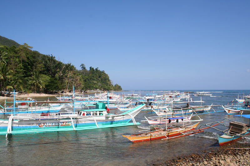 Morgen in Sabang (Palawan)