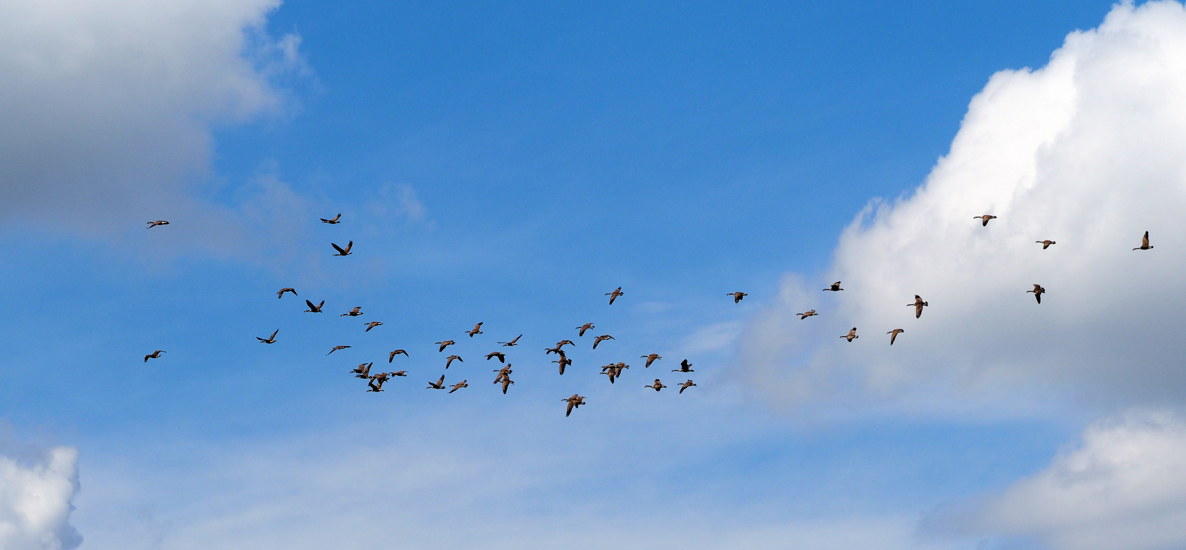 Guten Heimflug Bilder Guten Heimflug Bilder