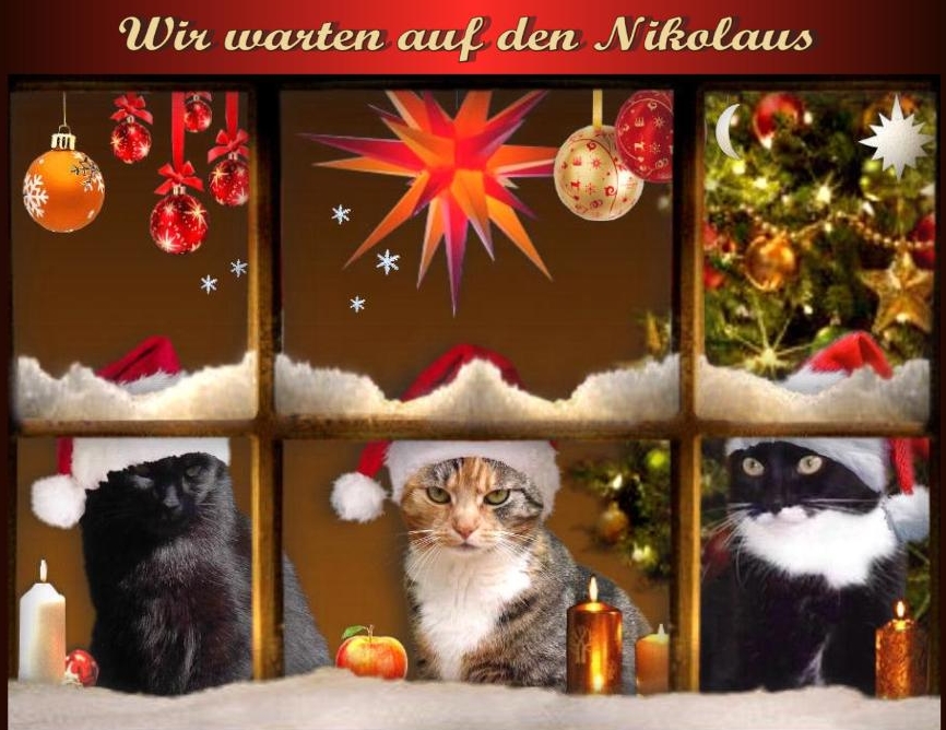 Morgen kommt der Nikolaus