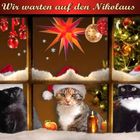 Morgen kommt der Nikolaus