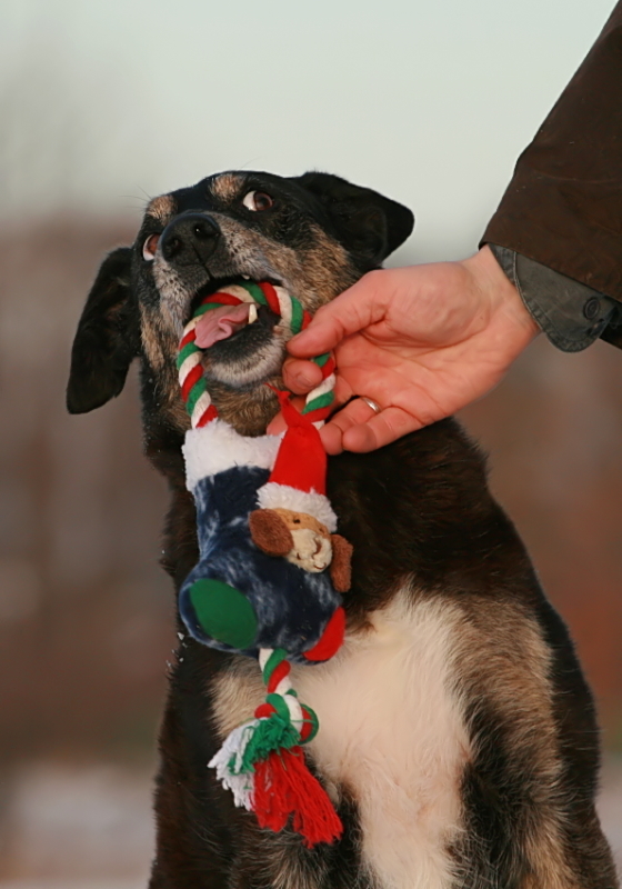 Morgen kommt der Weihnachtsmann