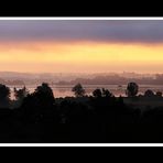 Morgen konnt über Schafwaschen am Chiemsee I