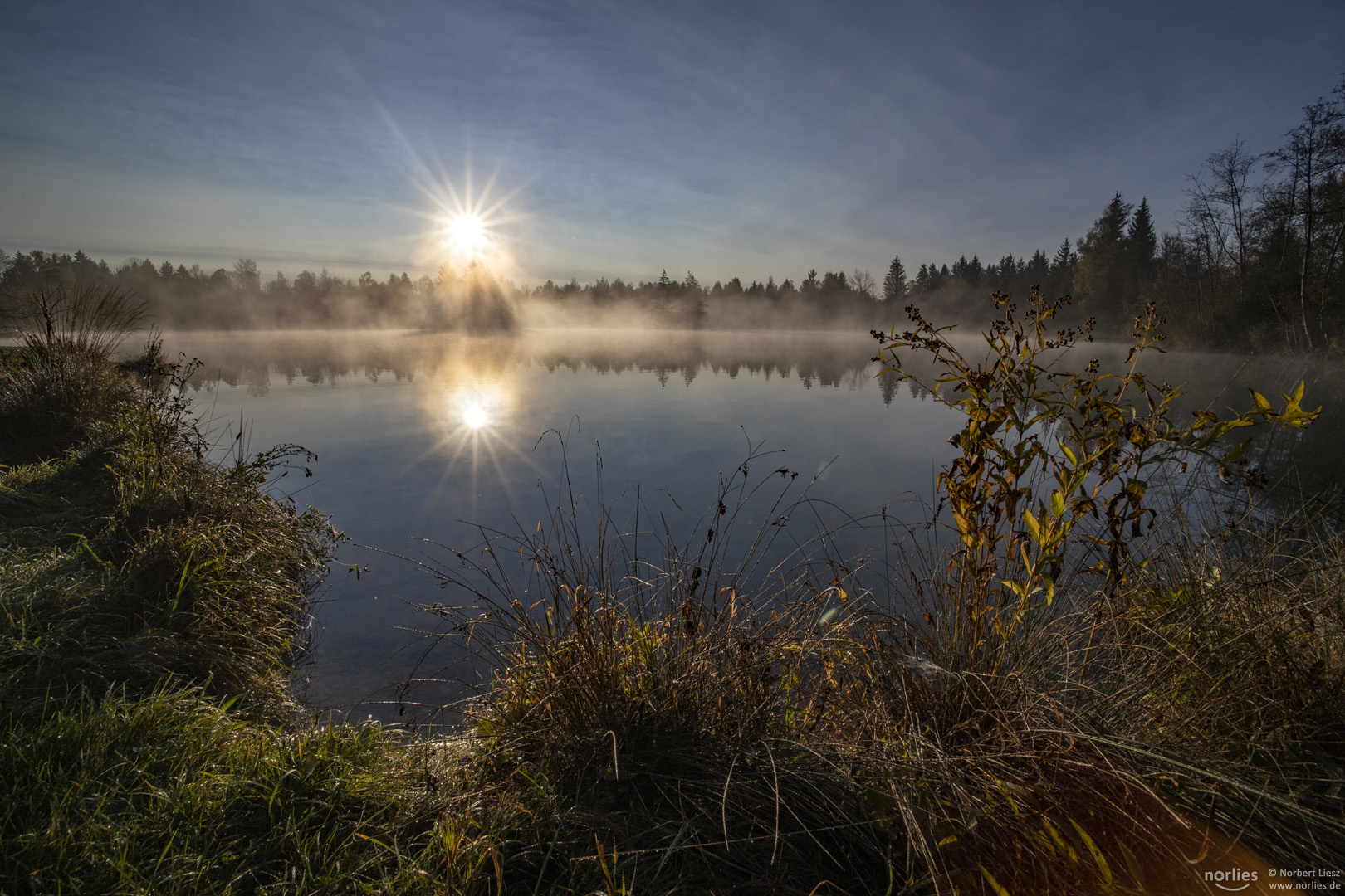 Morgen mit Sonnenstern