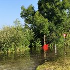 Morgen nach dem grossen Regen