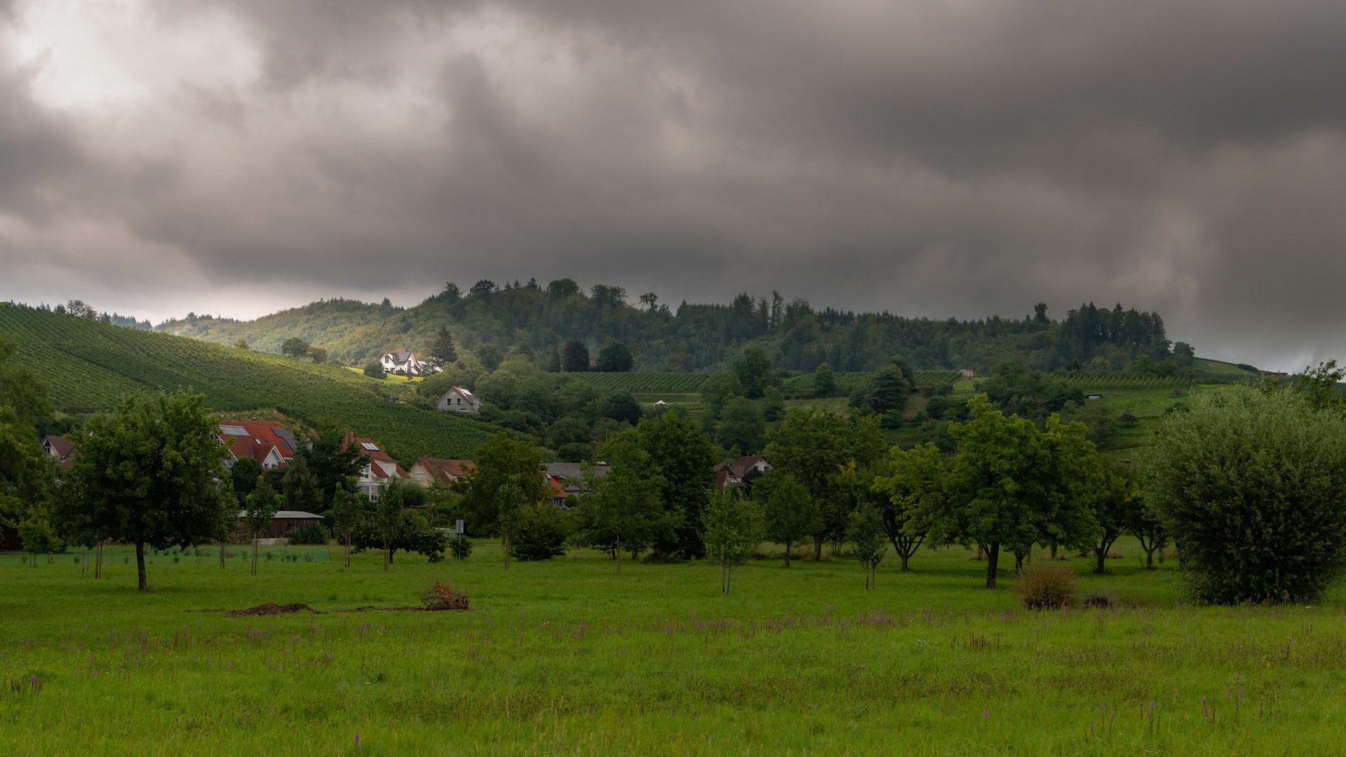 Morgen nach dem Regen.