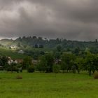 Morgen nach dem Regen.