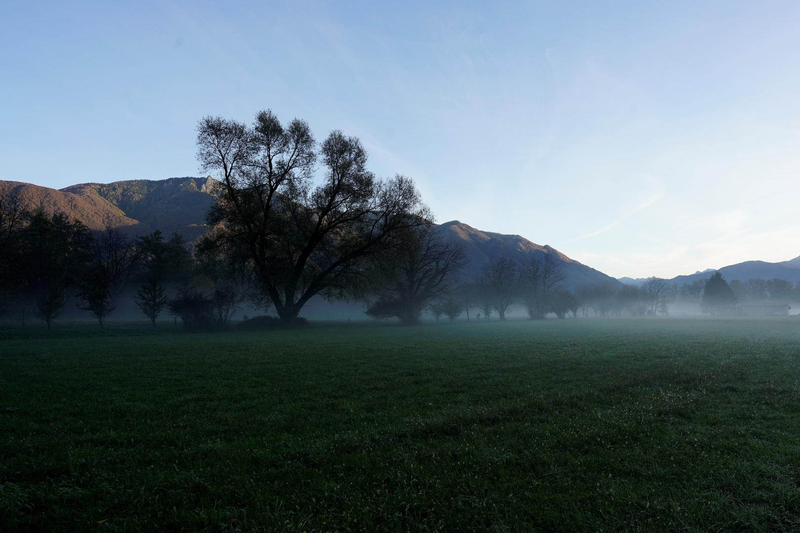 Morgen Nebel 